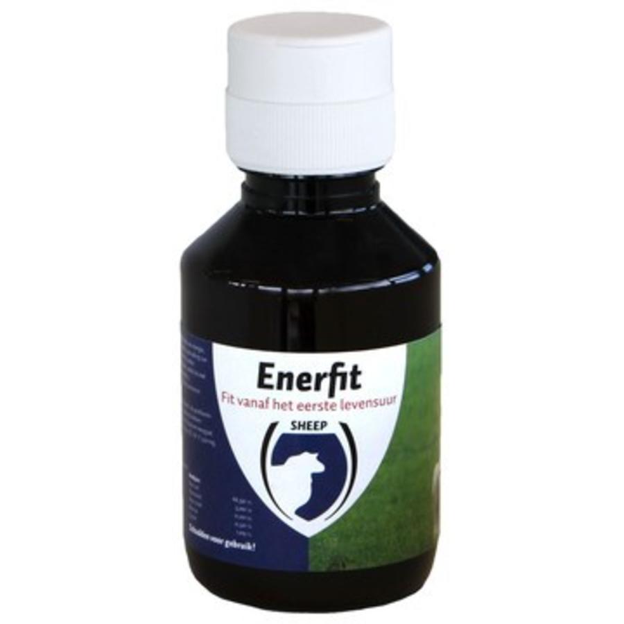 Enerfit kwik start lam 100ML