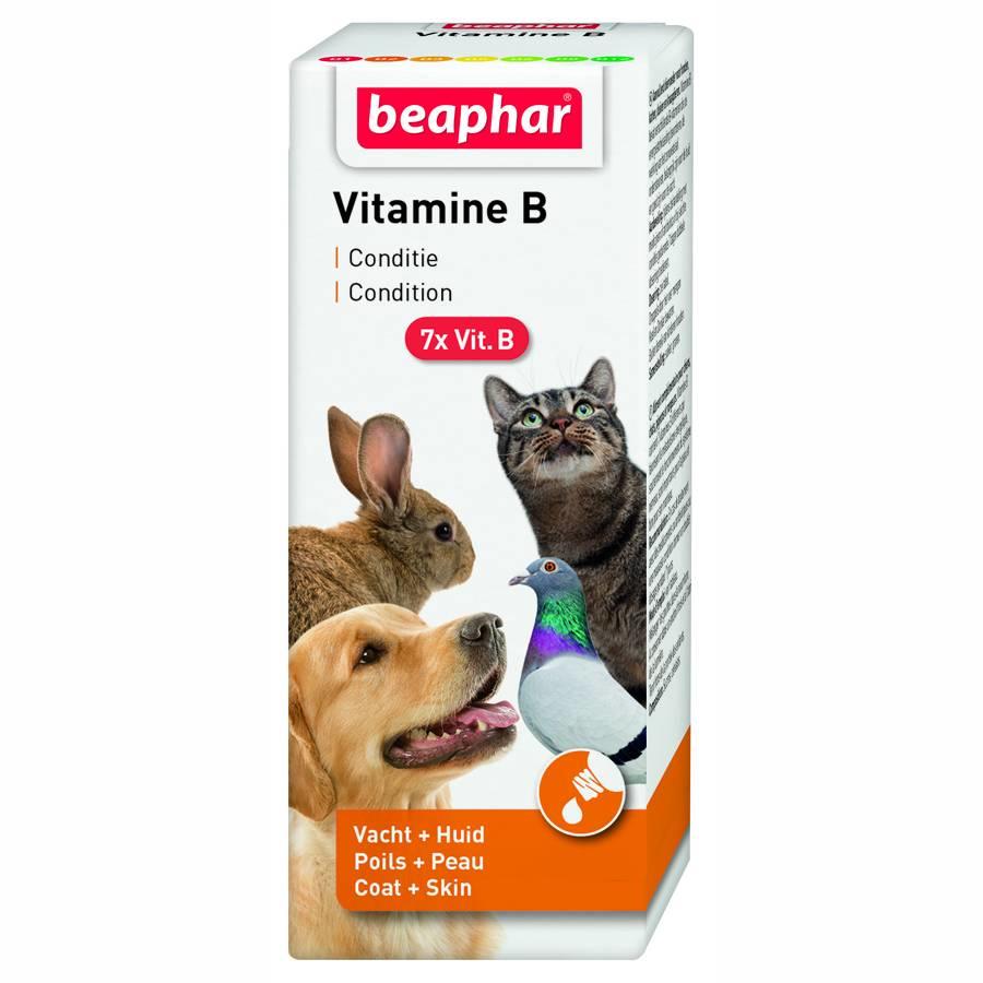 Vitamine B 20 ML