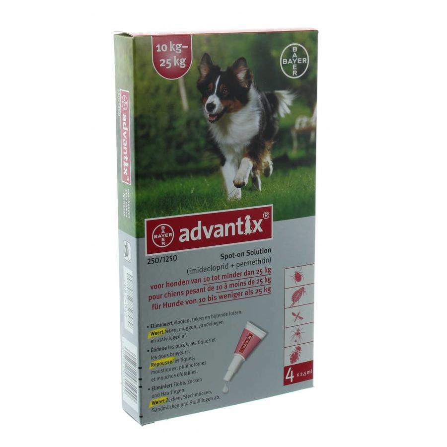 Advantix Spot on hond 4 pipetten