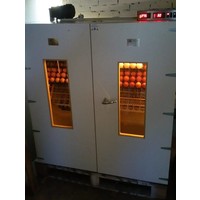 2000 slaglatten broedmachine