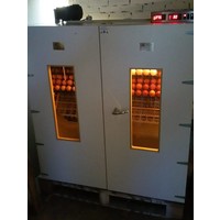 MS 2000 slaglatten broedmachine