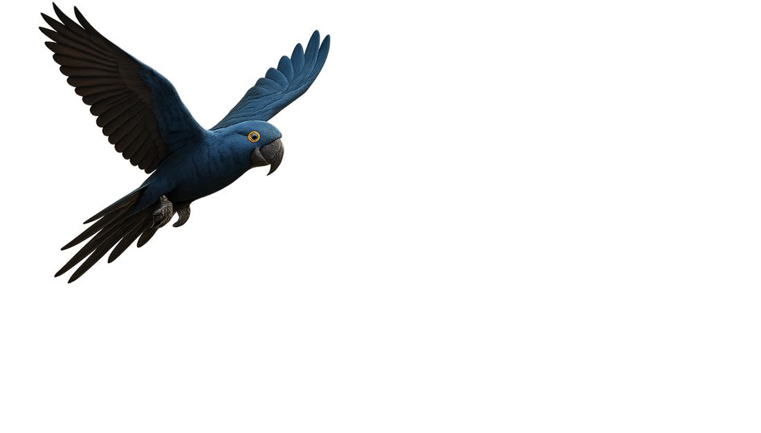 Junai.nl