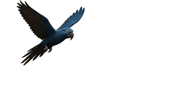 Junai.nl
