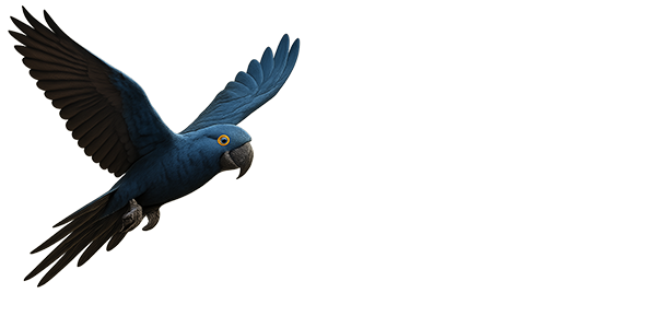 Junai.nl