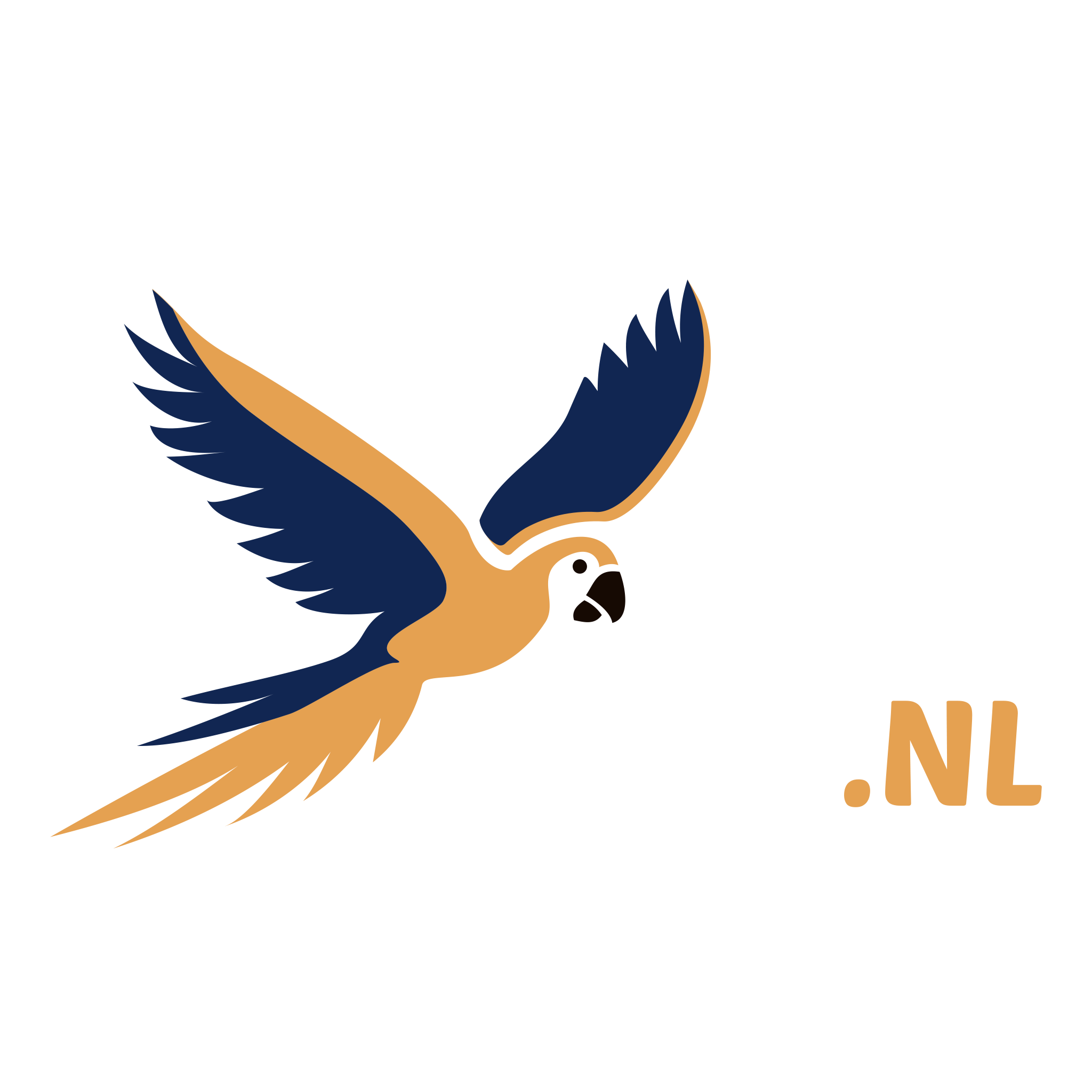 Junai.nl