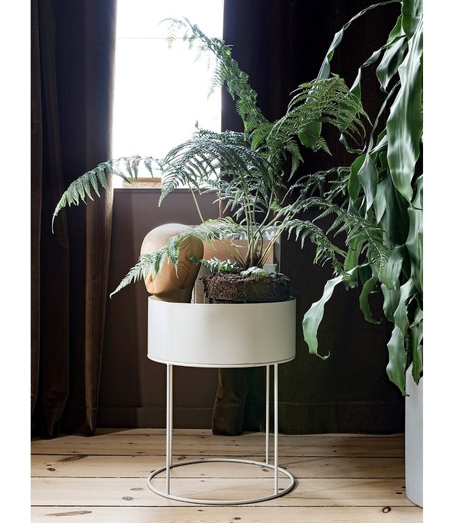 Plant Box -  Rond