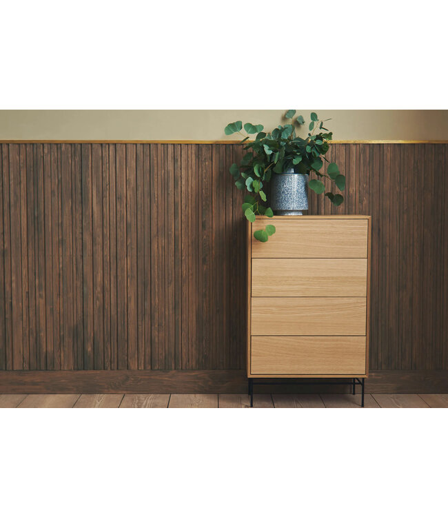 Case kast met 4 lades