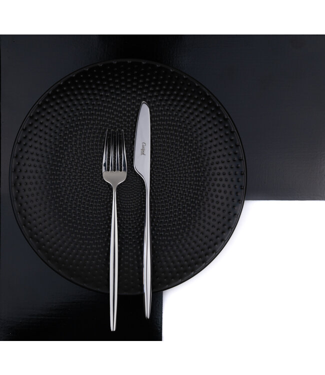 Solo 24 delige set  met bestekkoffer