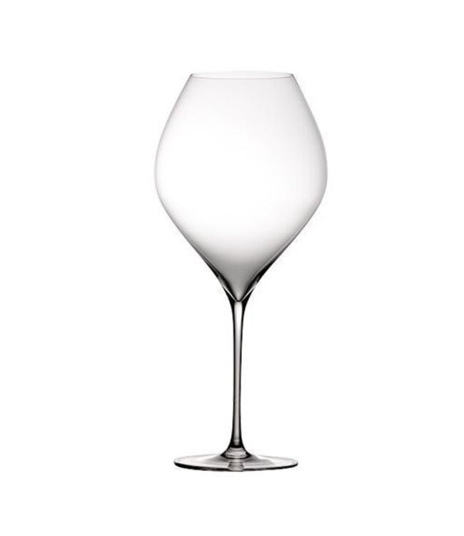 VEM 'important aged red wine' glazen - set van 6