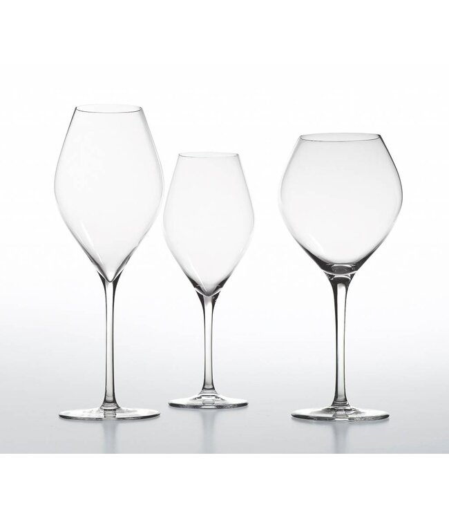 VEM sparkling & white wine  glass  - set van 6