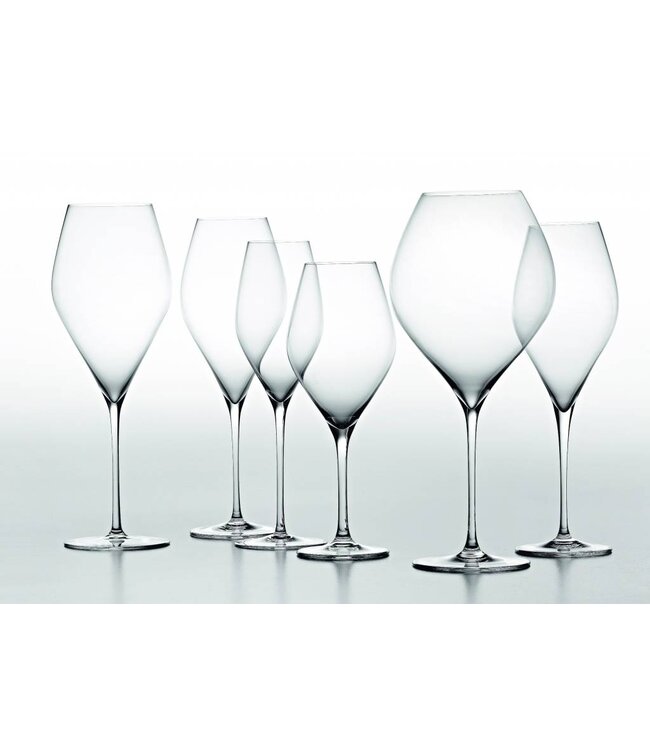 VEM sparkling & white wine  glass  - set van 6