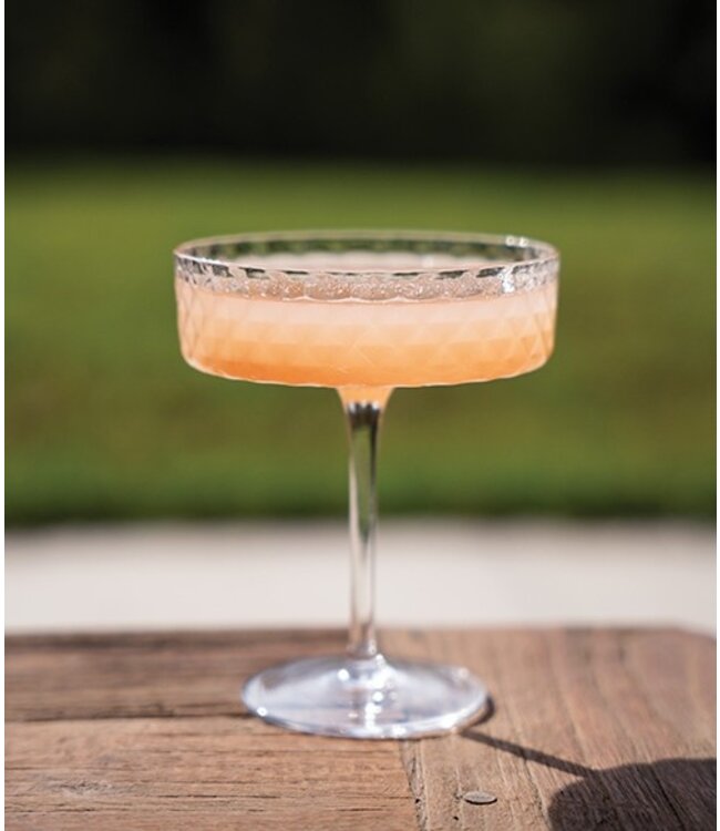 Veneziano Mixology   - Champagne coupe