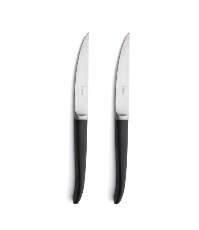 RIB knife - steakmessen set van 2