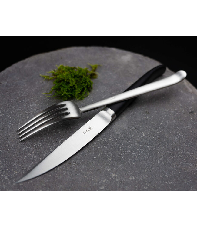 RIB knife - steakmessen set van 2