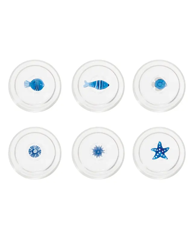 Teca Mare - set van 6 glazen