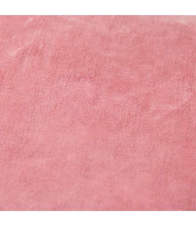 Kussen fluweel Rose