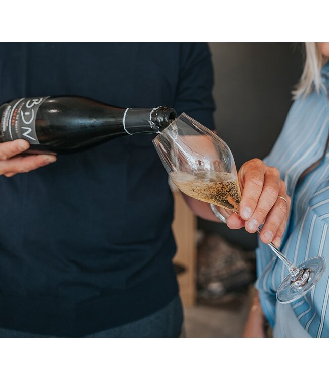 Set van 6 VEM glazen  43 cl