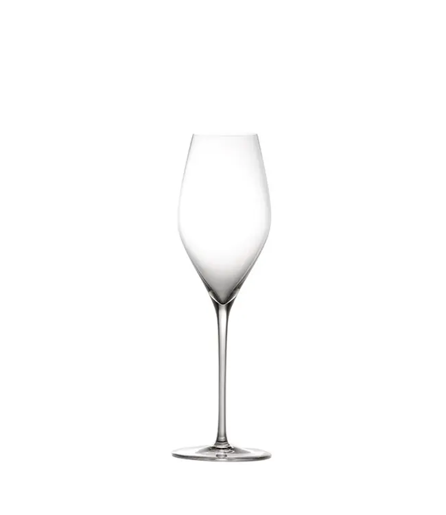 VEM glazen 32cl - set van 6