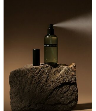 Wellmark Roomspray -  Tender Affection