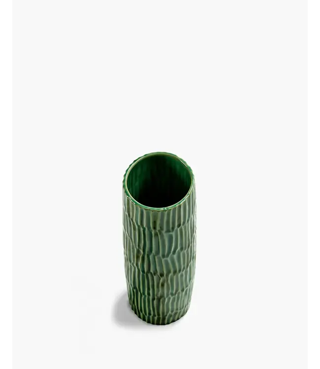 Vaas - Verde Lanza