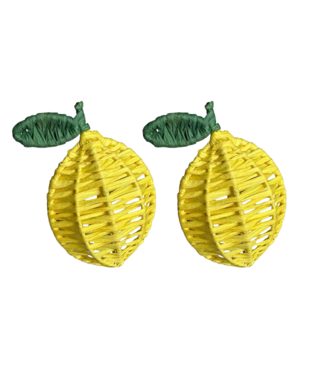 Set van citroen raffia servetringen
