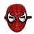 Spiderman Masker
