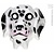 Plastic kindermasker dalmatier
