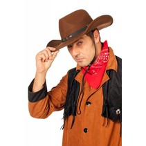 Rodeo hoed wolvilt bruin