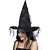 Zwart Heksenhoed met net