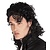 Pruik Popster zwart