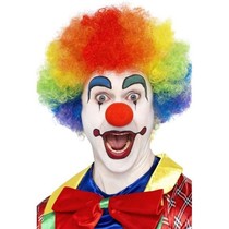 Crazy Clown pruik