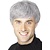 Pruik grijs kort modern