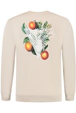 Pure Path Triangle Branch Sweater