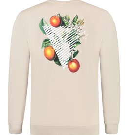 Pure Path Triangle Branch Sweater