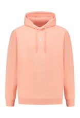 Pure Path Signature Hoodie