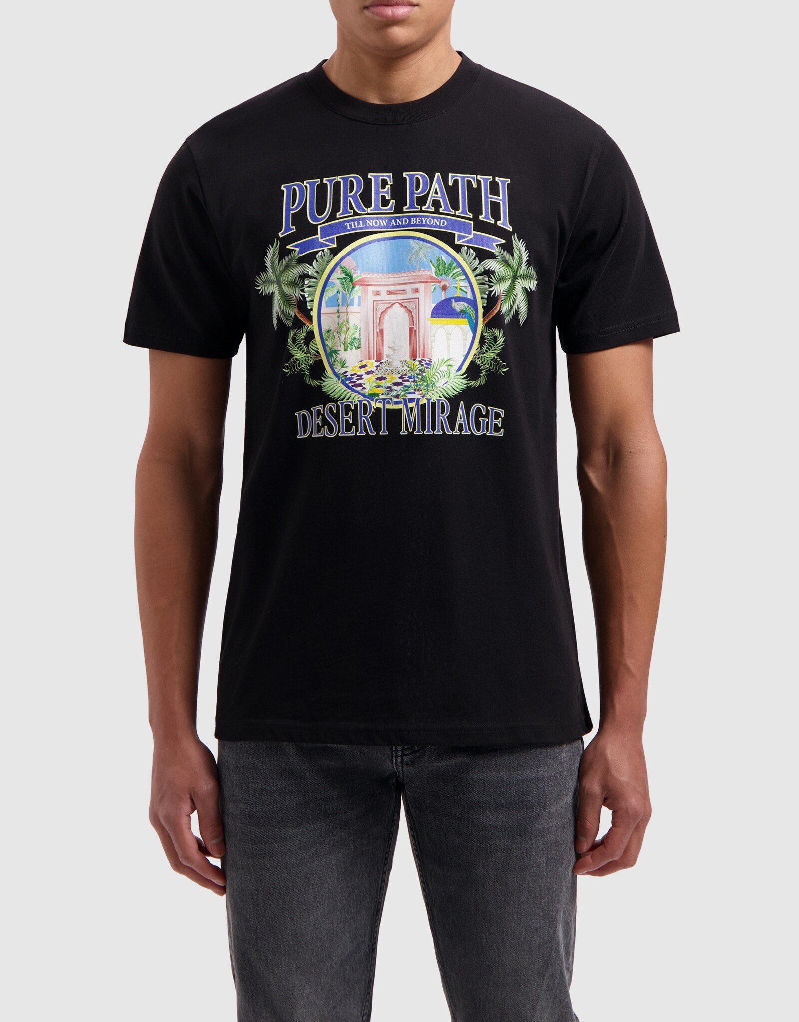 Pure Path Desert Mirage T'shirt