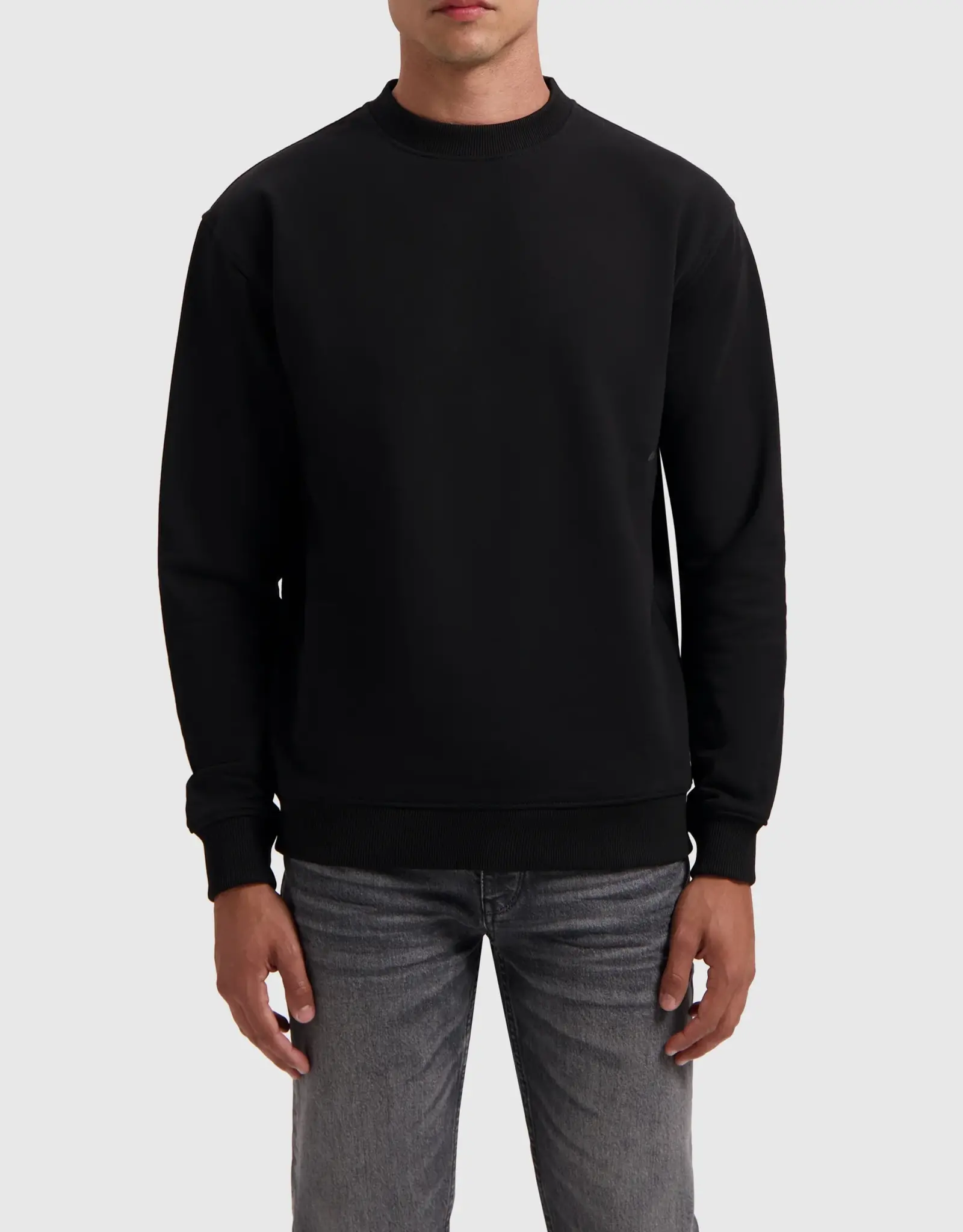 Pure Path Loose Fit Sweater Crewneck