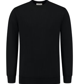 Pure Path Regular Fit Knitwear Crewneck