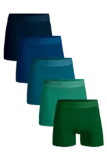 Muchachomalo 5-Pack Solid