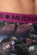 Muchachomalo Golden Special 12-Pack