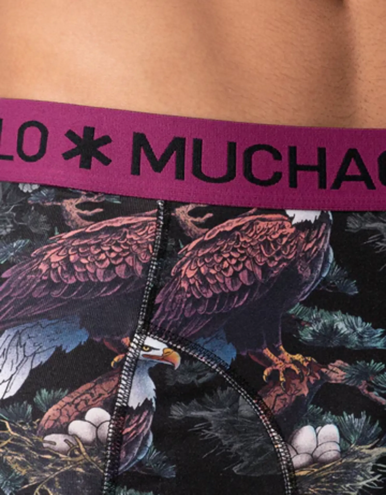 Muchachomalo Golden Special 12-Pack