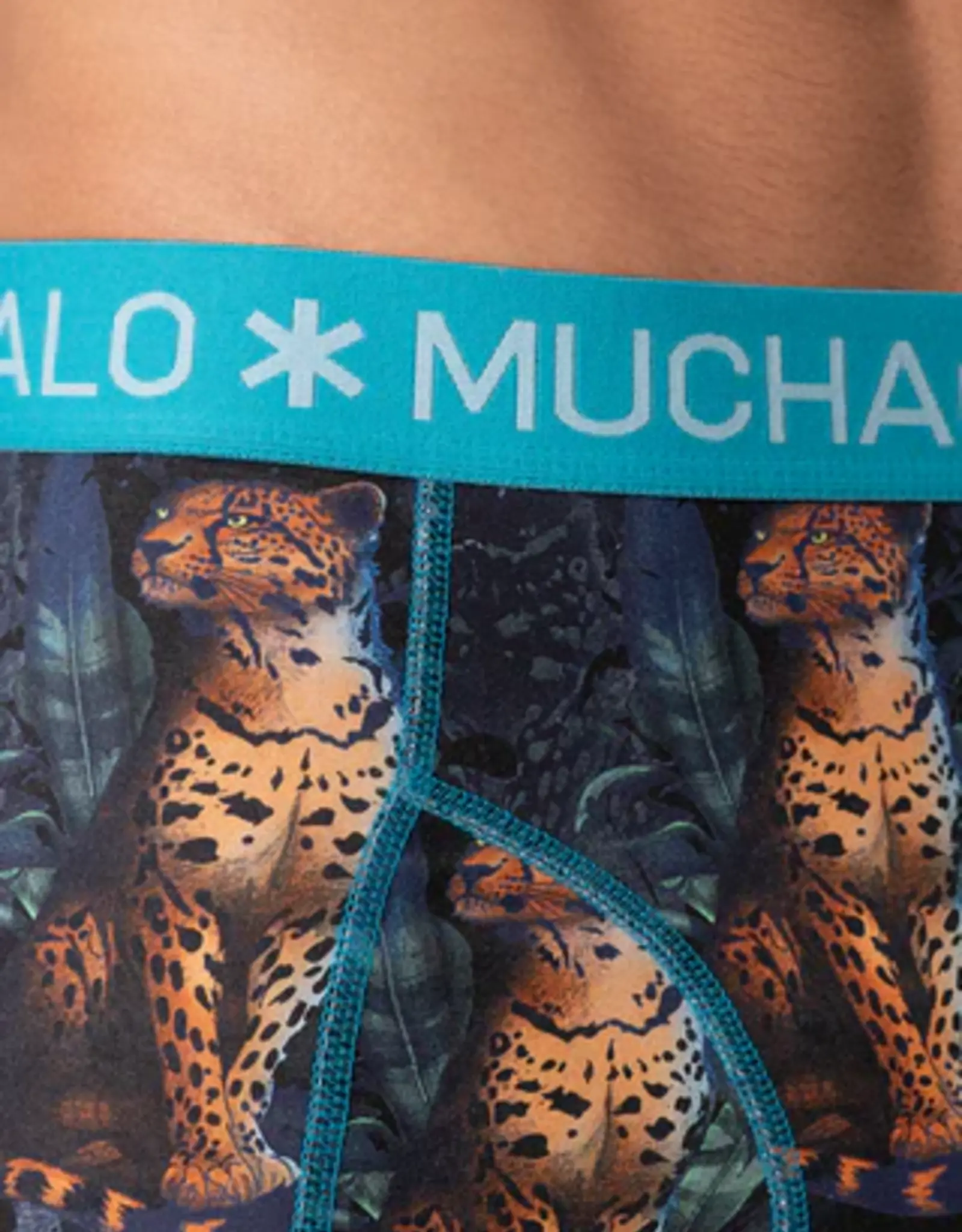 Muchachomalo Golden Special 12-Pack