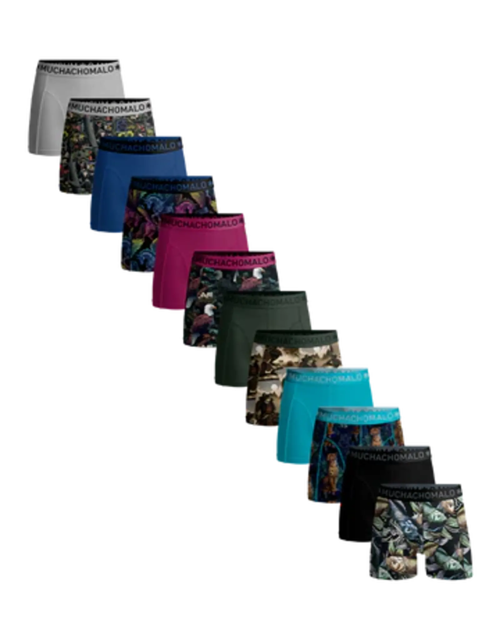 Muchachomalo Golden Special 12-Pack