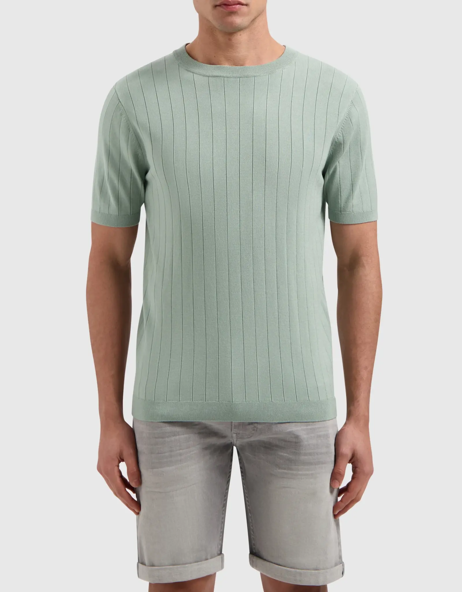 Pure Path Striped Regular Knit T-Shirt
