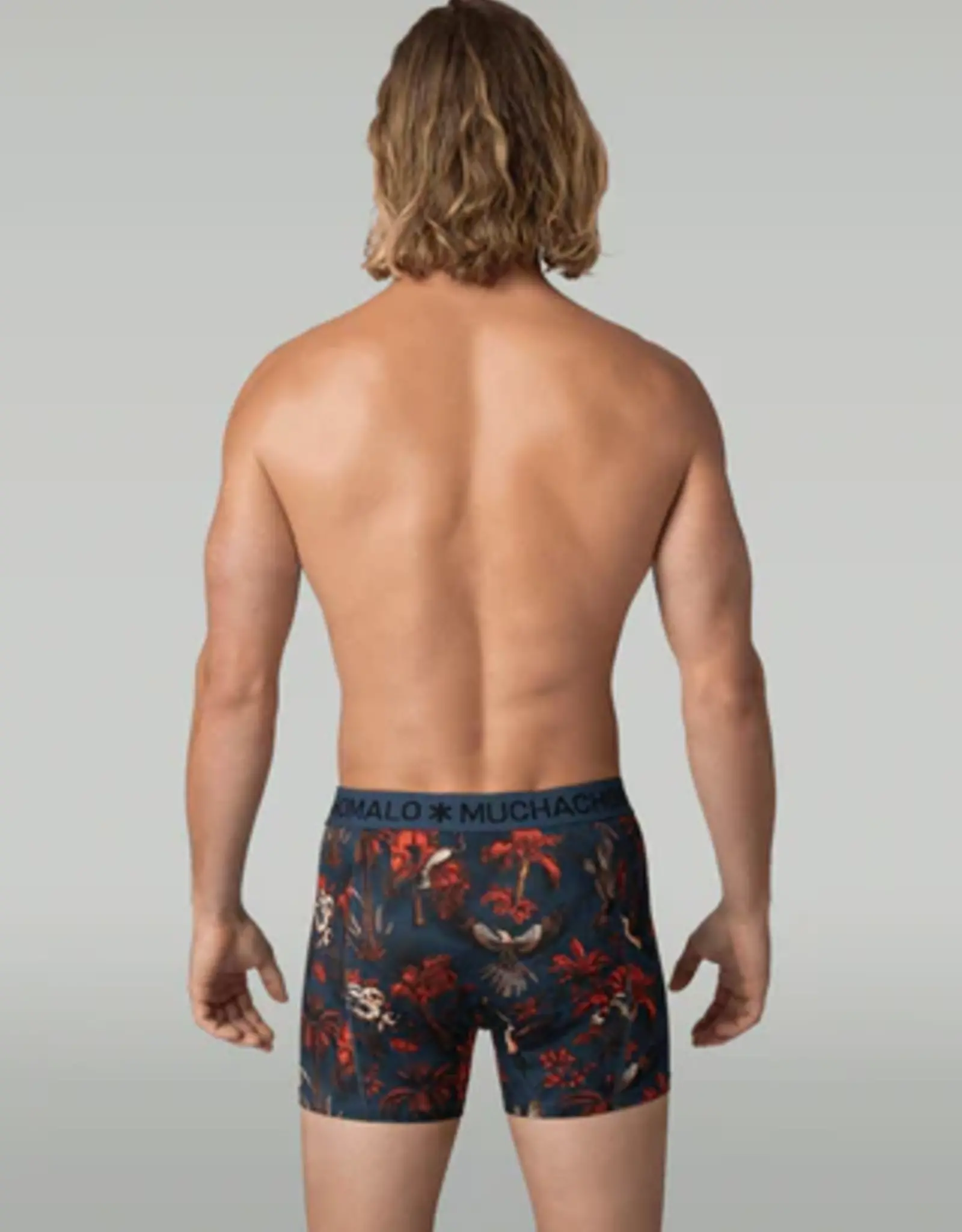 Muchachomalo Palmbirds 3-Pack