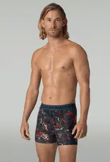 Muchachomalo Palmbirds 3-Pack