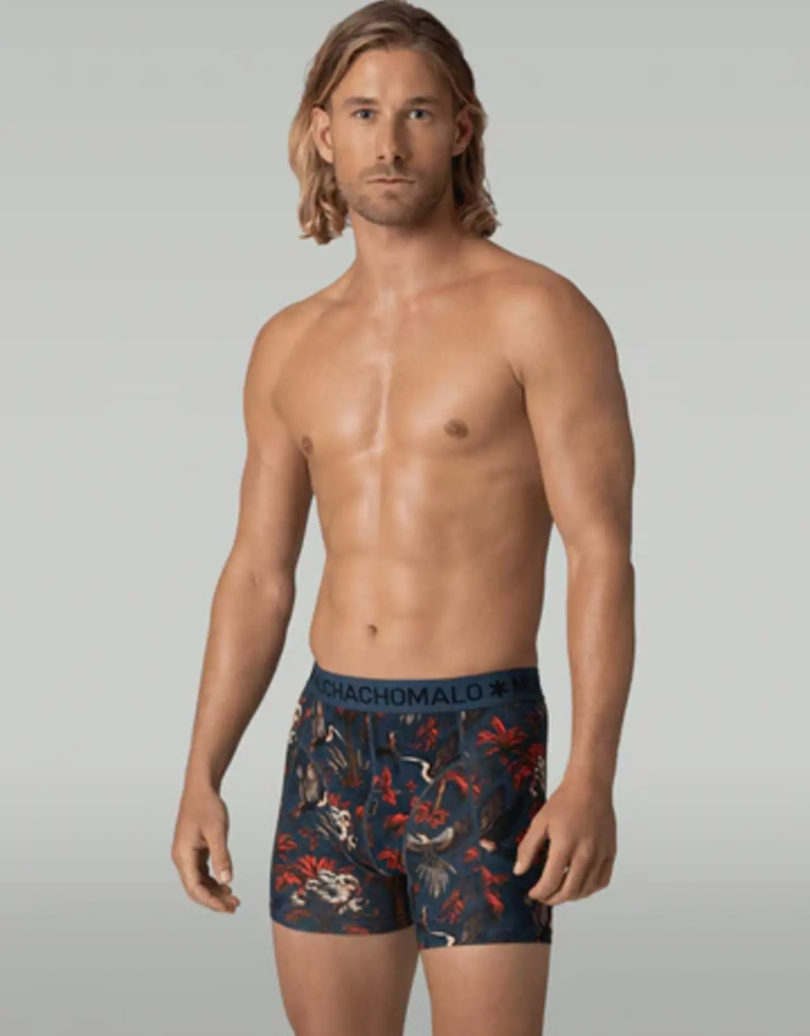 Muchachomalo Palmbirds 3-Pack