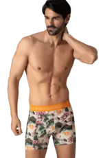 Muchachomalo 12-Golden Box Boxershorts