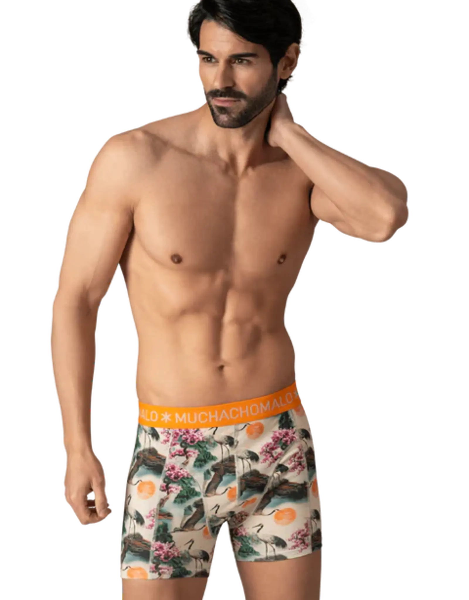 Muchachomalo 12-Golden Box Boxershorts