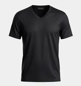 Mercerized V-Neck T-Shirt